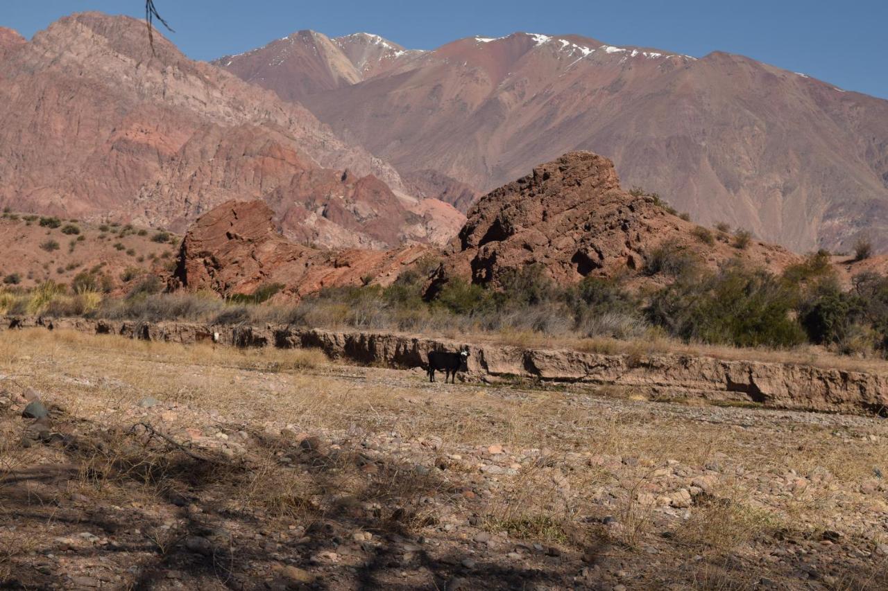 Cabanas De Los Andes Uspallata Eksteriør billede